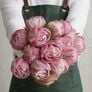 Vogue, Tulip - 10 Bulbs thumbnail number null